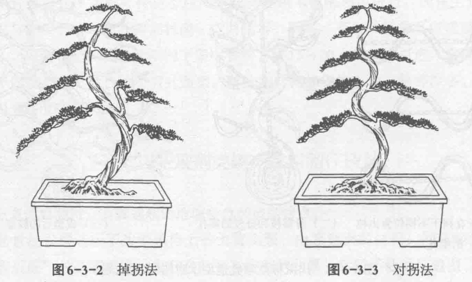 川派树木盆景制作技艺(2)川派盆景九大身法